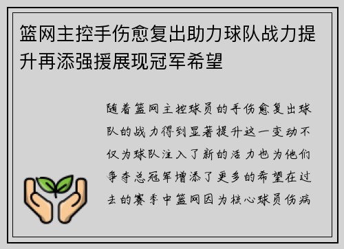 篮网主控手伤愈复出助力球队战力提升再添强援展现冠军希望